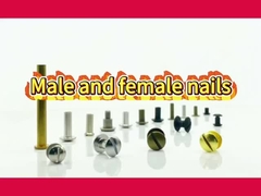 Stinless Steel Phillips Truss Head Female Brass Black Chicago Screw For Belt Learher