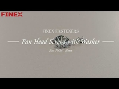 Pan Head Screw with Washer