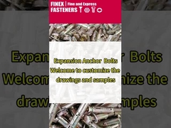Brass Zinc Plated Anchor Bolts Stainless Steel Expansion Bolt